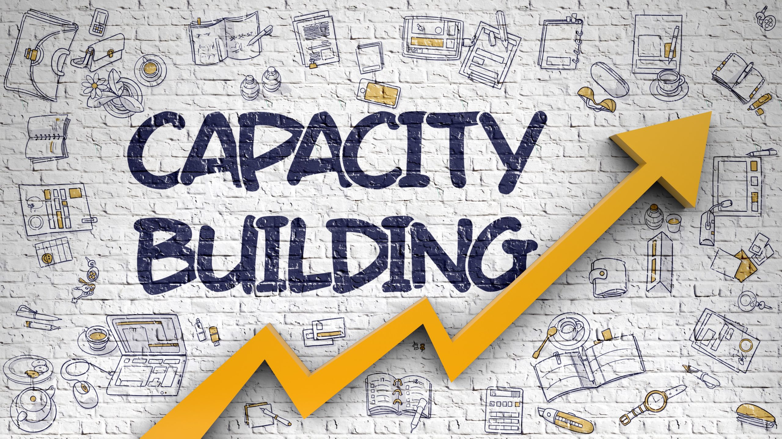 Building Capacity and Strengthening Advocacy: Insights from Our Step-Down Training